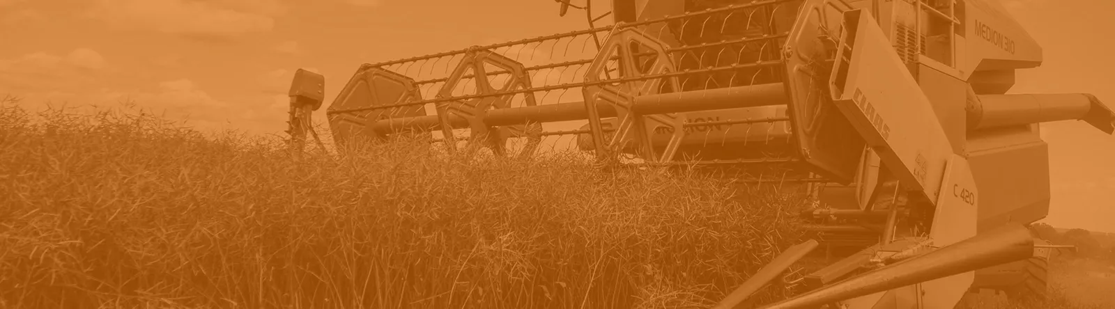 Asset Valuation Standards